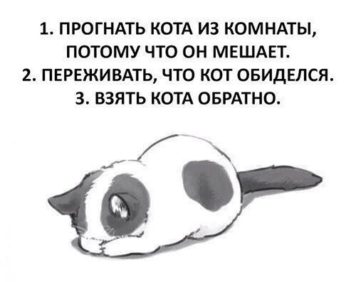 https://pp.userapi.com/c543107/v543107304/25729/aACN26NbLFc.jpg