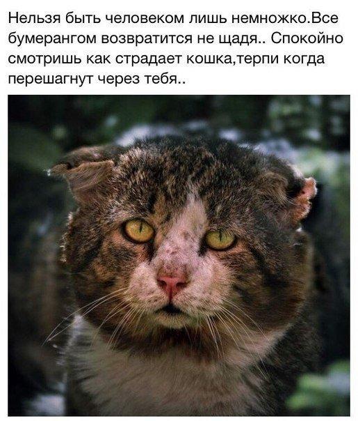 https://pp.userapi.com/c543107/v543107313/19ada/OebeaUcWcFo.jpg