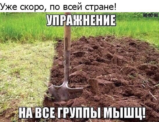 https://pp.userapi.com/c543107/v543107404/1e5e4/mS077e9Vm0Q.jpg