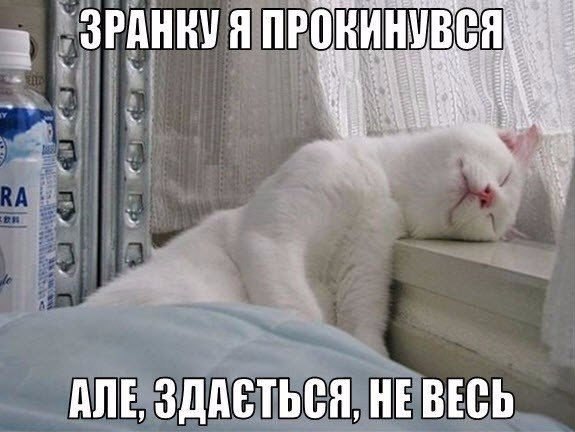 fqkRGLEttBw.jpg