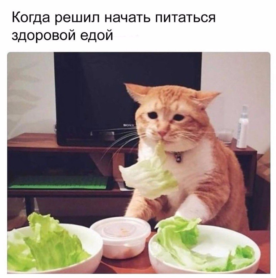 https://pp.userapi.com/c543107/v543107684/3fdc9/LTf7YLgxL9o.jpg
