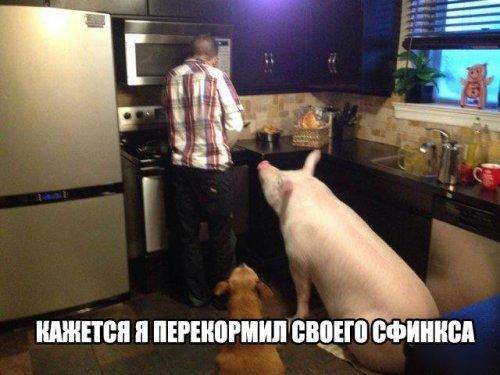 4oliH87wRKA.jpg