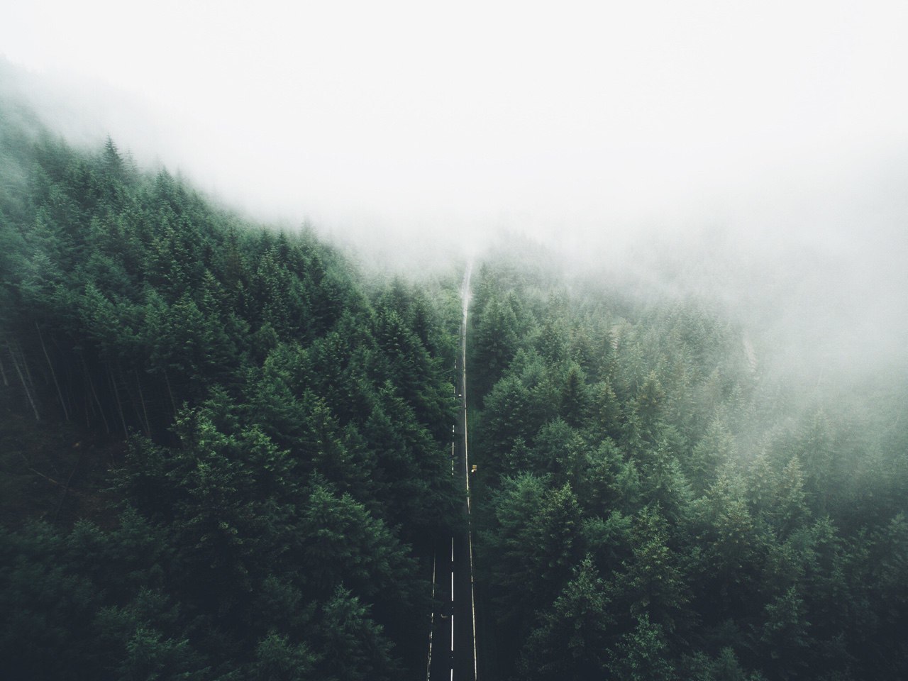 https://pp.userapi.com/c543108/v543108159/2bd2d/dQQ1DI9ZyLw.jpg