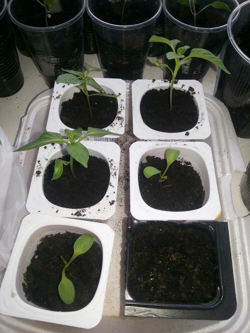 фотография из вКонтакта