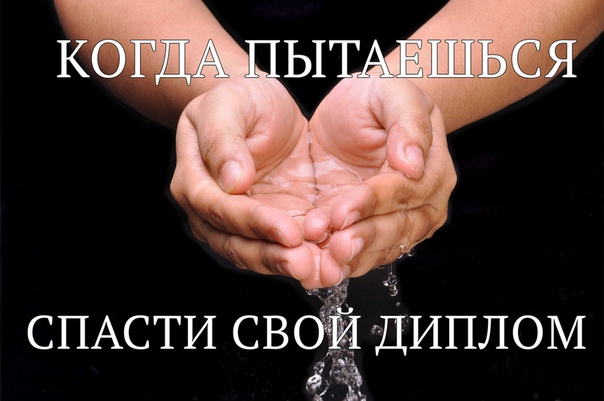 Выпускники российского вуза написали дипломы и узнали о закрытии факультета