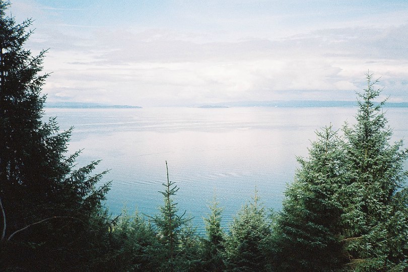 https://pp.userapi.com/c543108/v543108625/3851c/dyt5c5_nDNA.jpg