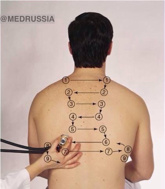 Аускультация легких. Часть 2