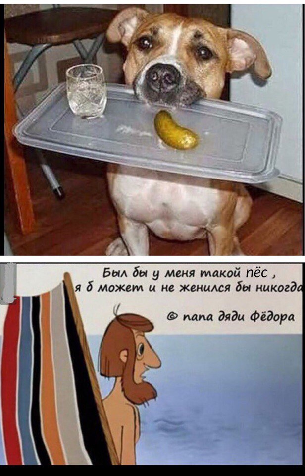 rRdkLPenA6w.jpg