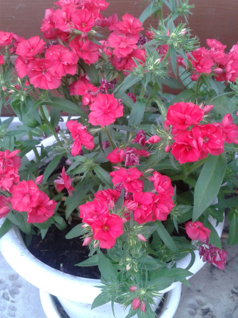 фотография из вКонтакта