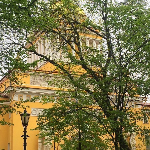 https://pp.userapi.com/c543108/v543108713/4812/kxS1J1pey7U.jpg