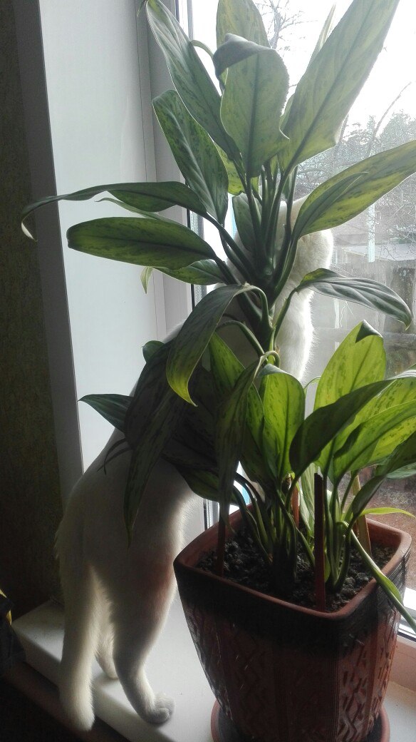 фотография из вКонтакта