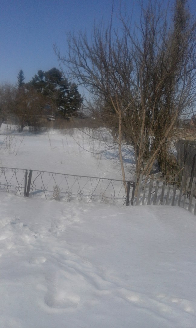 фотография из вКонтакта