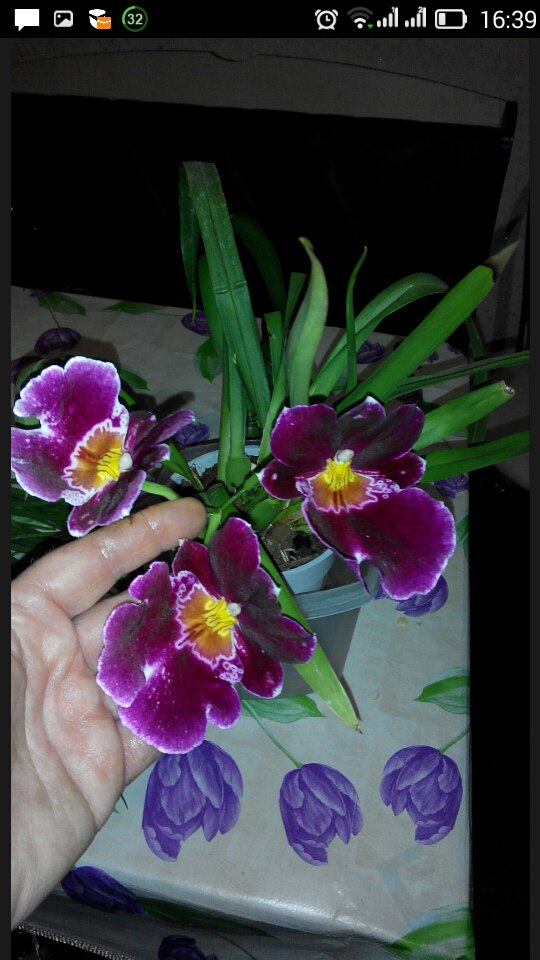 фотография из вКонтакта