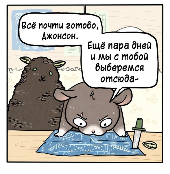 2tpUypNOHAs.jpg