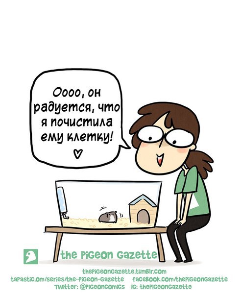 7n_2-TNjLa8.jpg