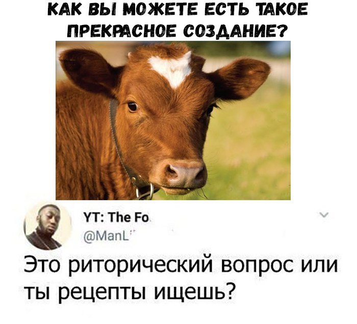 20_Q7qp92vI.jpg