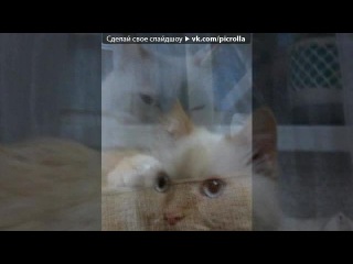 «я )))))» под музыку 23:45 feat. 5ivesta Family - сердце ту тук. Picrolla