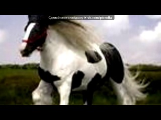 «любимцы» под музыку Джаз Модерн - Танец души. Picrolla