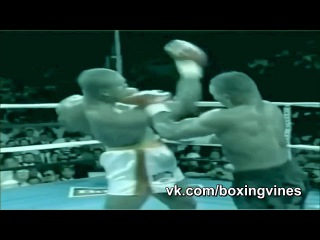 Tyson vine