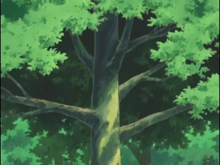Naruto/Наруто 1 сезон 21 серія укр.озвучка від QTV