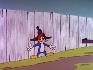 Дятел Вуди (Woody Woodpecker) - Кровная вражда (103 Серия)