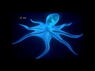 Через Червоточину с Морганом Фрименом 4 сезон. Как думают пришельцы.