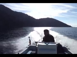Sarıgerme