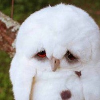 Дмитрий Потапов