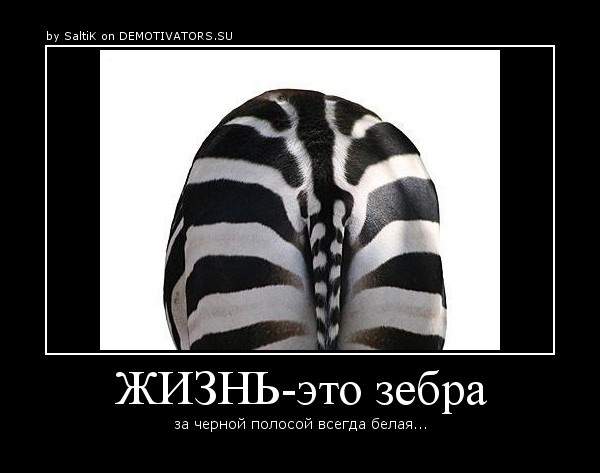 После черной полосы всегда наступает белая картинка