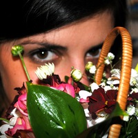 Gera Герентирова  ***Gero4Ka***