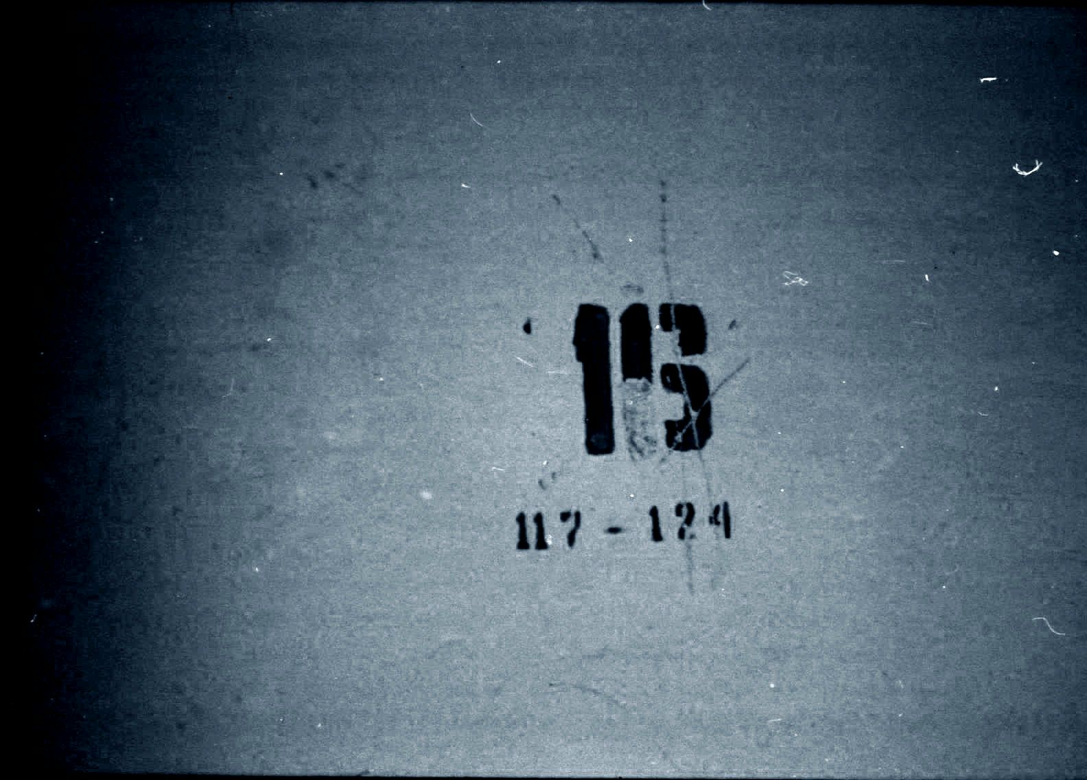 z_318ce768.jpg