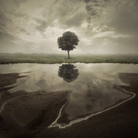 Захар Антонов