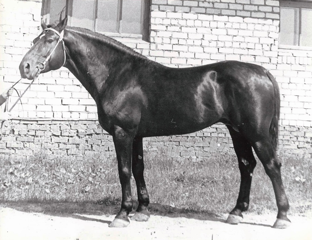 z_8687fa48.jpg