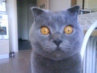 Оля Борисова