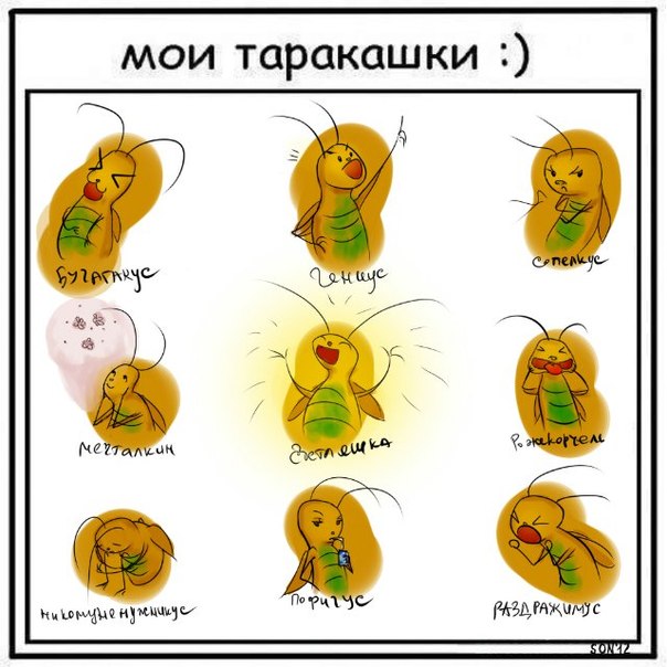 Мои таракашки картинки