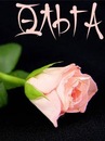 Готлиб Ольга (Околелова)