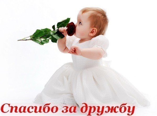 Спасибо для, спасибо моя девочка открытка