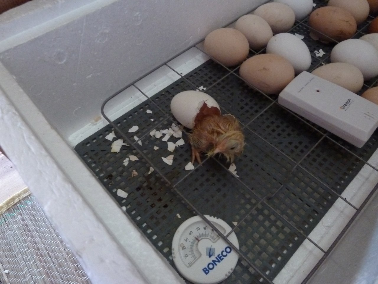 Кафе "У пани Сони"