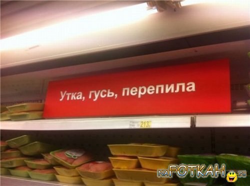 x_9e2c0124.jpg