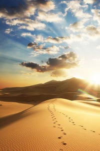 Artur Vision-scripts