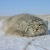 Фото пользователя Пётр