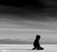 Андрей Петров