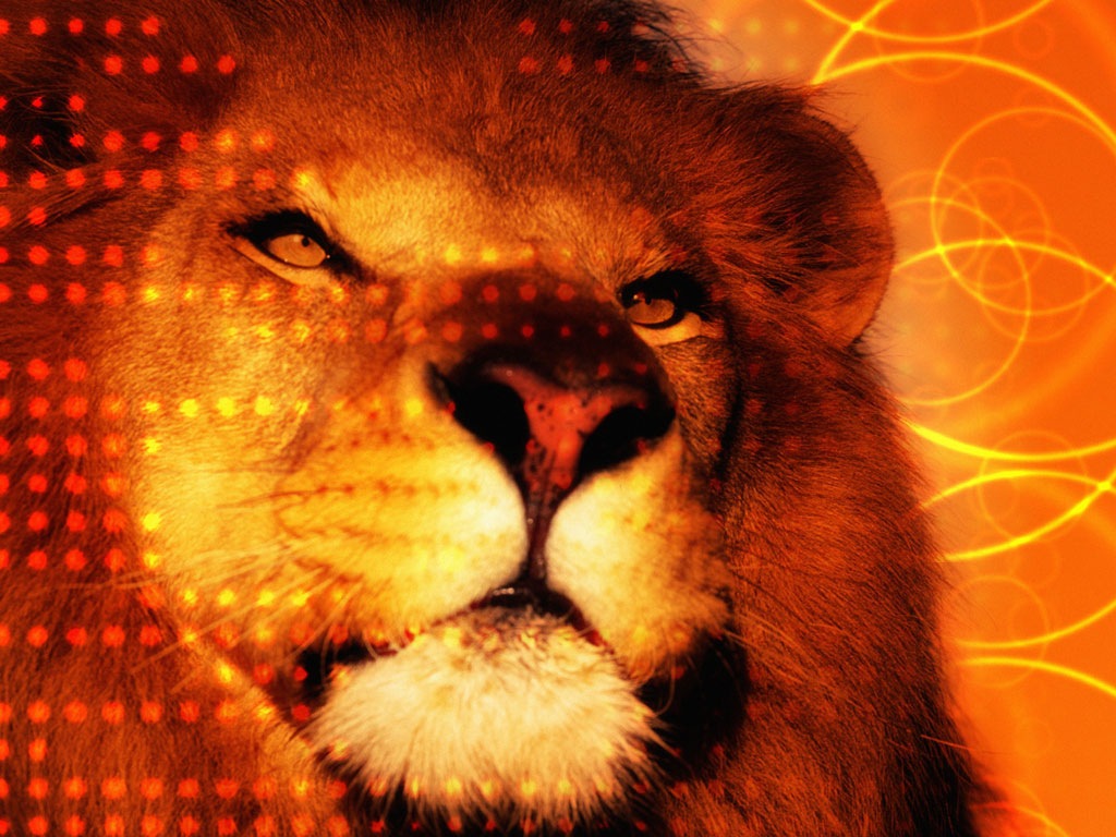 Изображения 100 на 100 пикселей