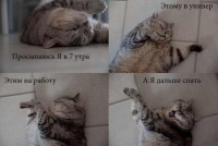 Мастер Грёз