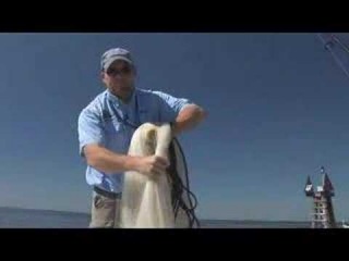 How To Throw a Black Pearl Cast Netting Instructions. Cast Nests