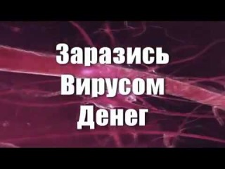 Поймай волну удачи