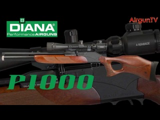 FIRST LOOK - Diana P1000 air rifle PCP
