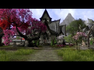 By the Divines! Top 8 Reasons to be Interested in ESO.