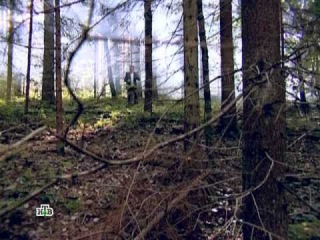 Следствие вели - Скелет в подвале 06.10.12 №213