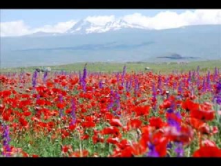Karmir Caxik m Garuni